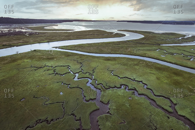 view-of-the-river-delta-at-nisqually-wildlife-refuge-at-low-tide-stock