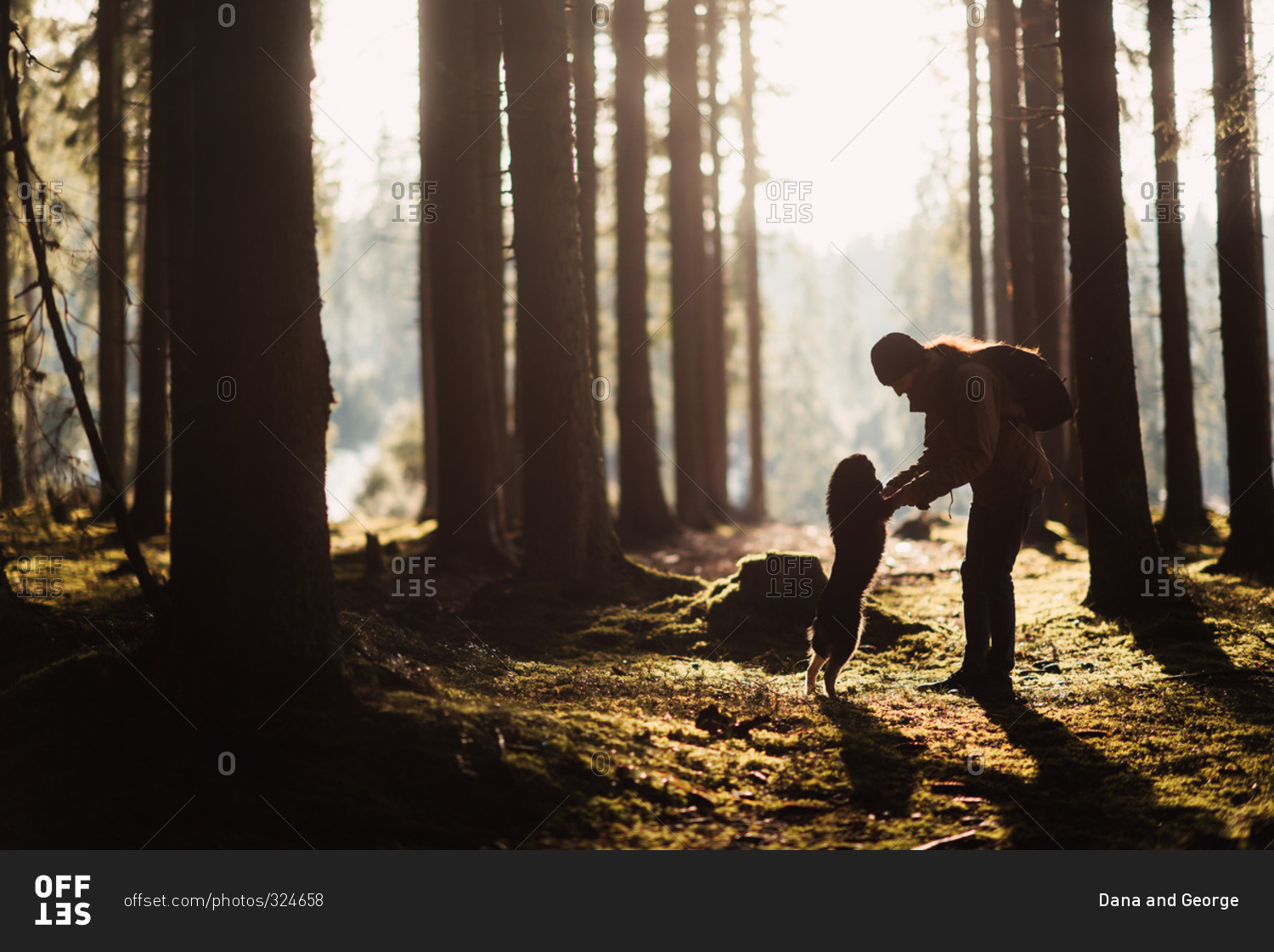 Man holding dog's paws in a dense forest