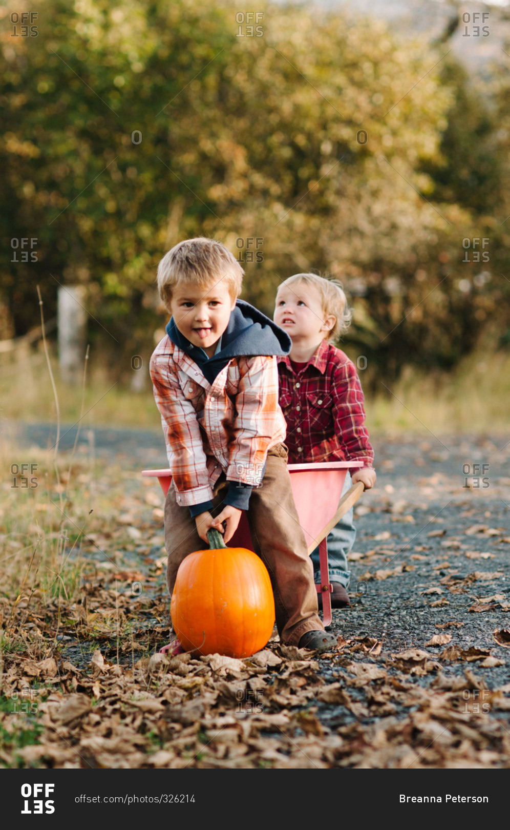 Two toddler boys with pumpkin and wheelbarrow