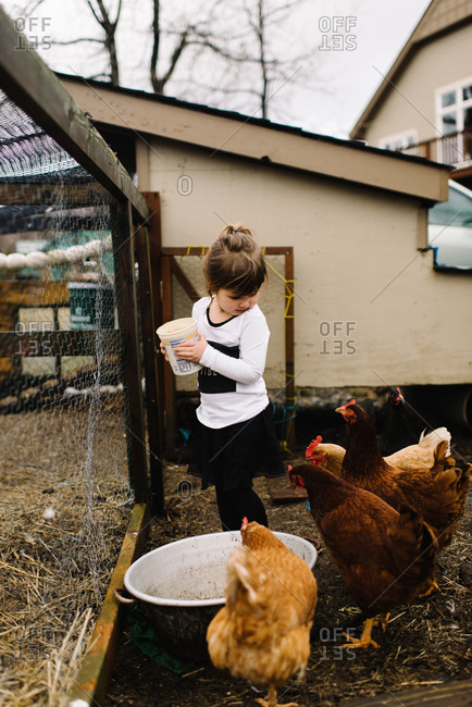 Young girl feeding chickens