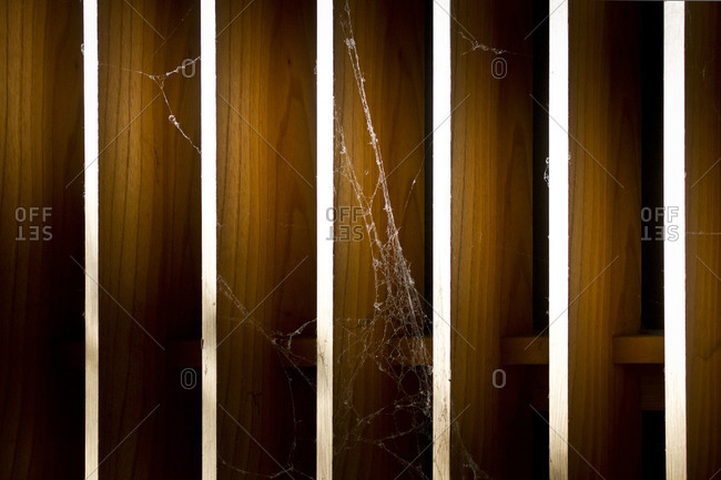 Cobwebs on a wooden wall