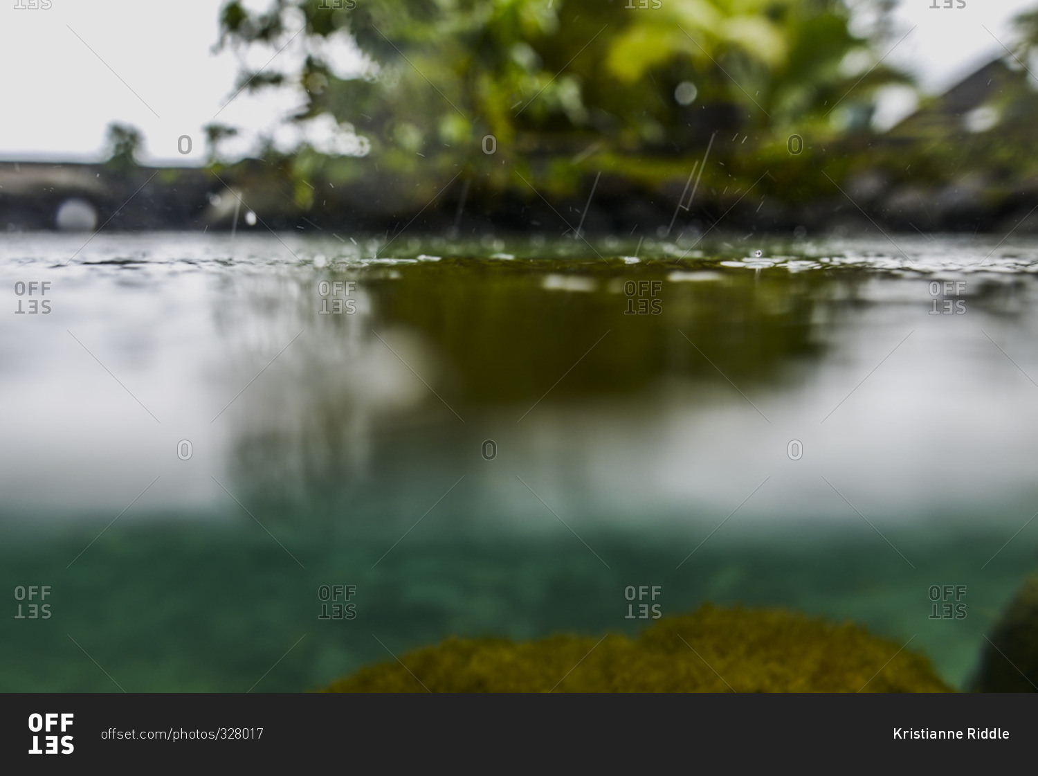 Close up of rain drops on the water's surface, Moorea, French Polynesia