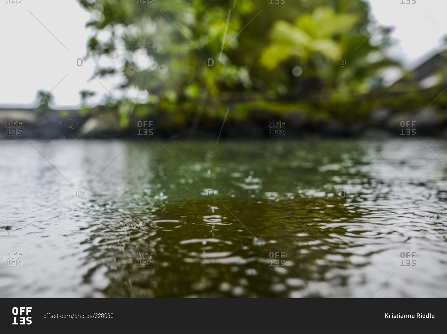 Close up of rain drops splashing on the water's surface, Moorea Island in Moorea, French Polynesia