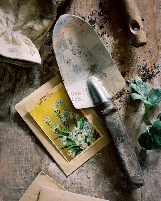 Gardening items on wood background