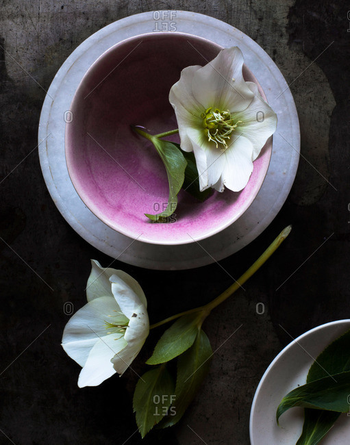 Flower blossoms and dishes