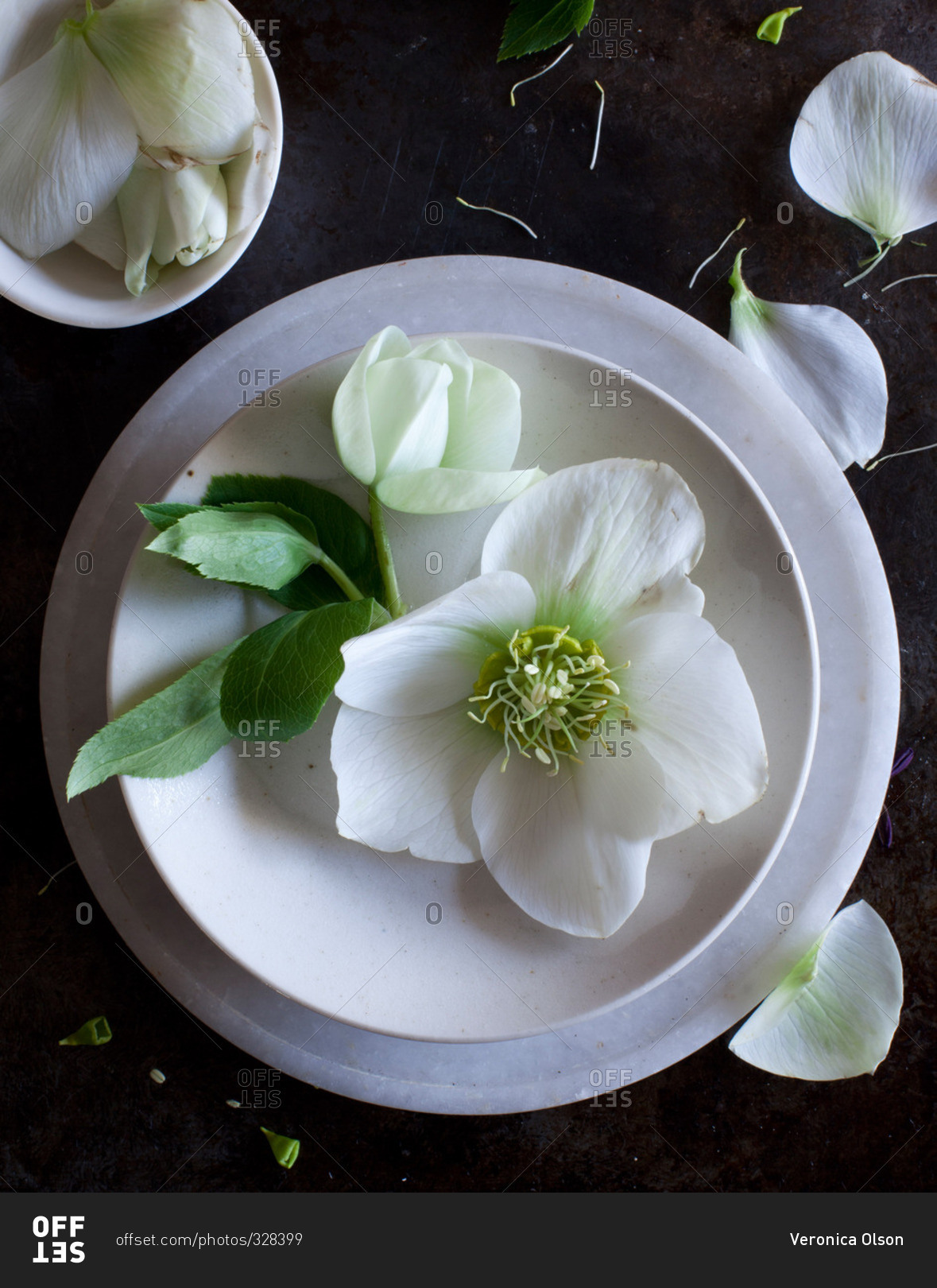 Flower petals on dishes stock photo OFFSET