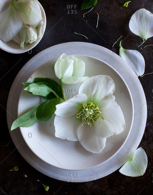 Flower petals on dishes