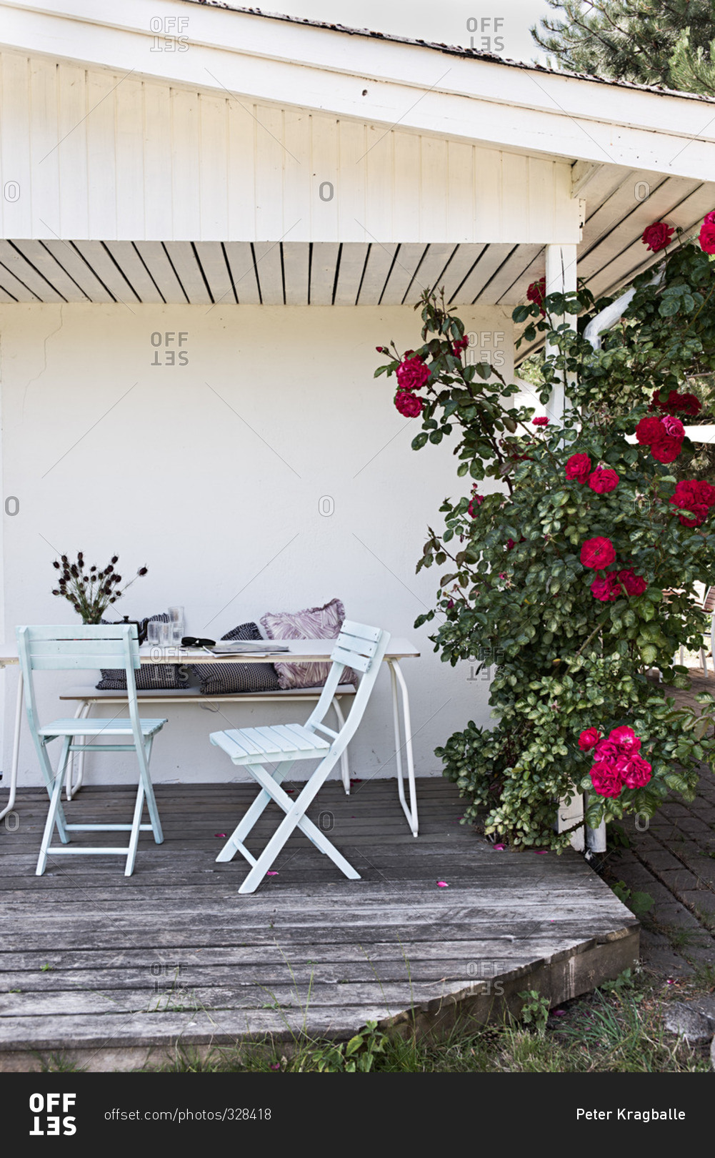 Small patio and rosebush