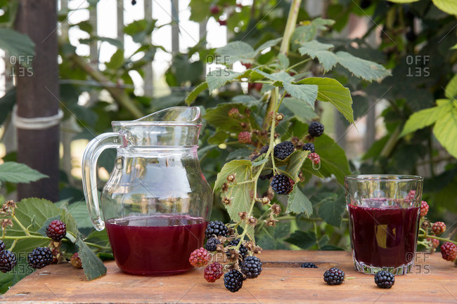 Pitcher of fresh fruit juice and glass of fresh juice, on table in garden, next to blackberry bush
