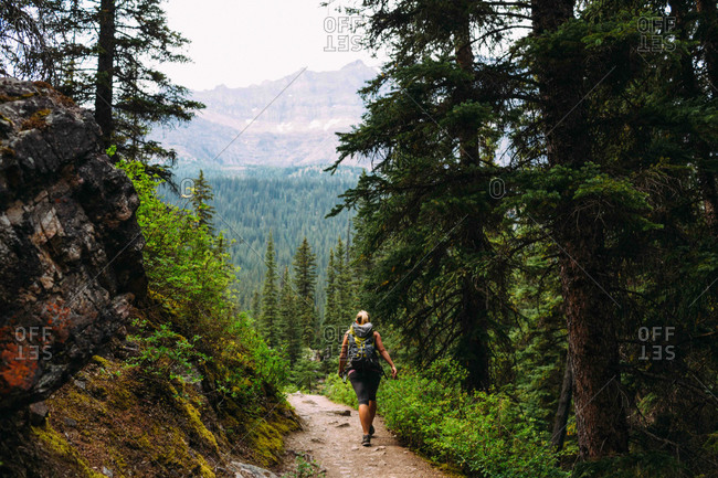 license canada doctor's in of in view forest on woman mid trail adult trekking Rear
