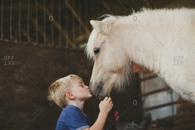 Little boy kissing a miniature horse in a barn