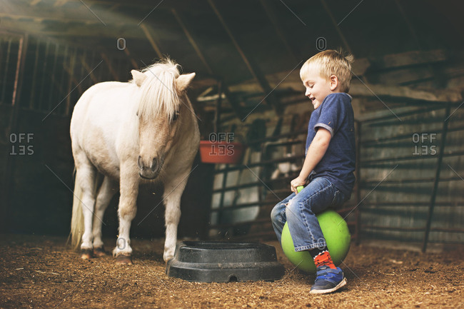 Little boy sitting on a ball in a mini horse's barn stall