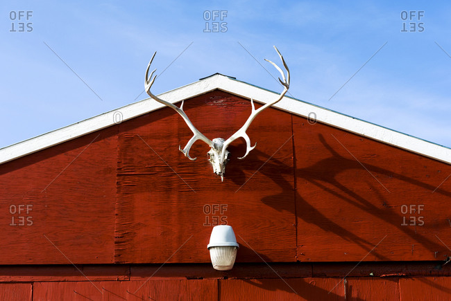 A rack of Barren-ground Caribou antlers on the facade of a red garage in an arctic village