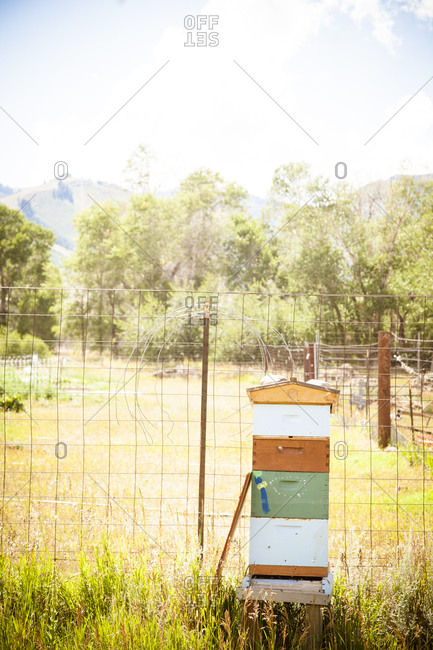 Beekeeping box in rural setting