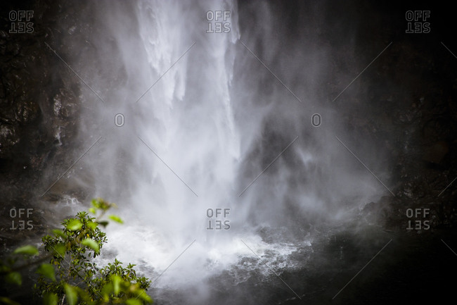 Akaka falls in Hawaii
