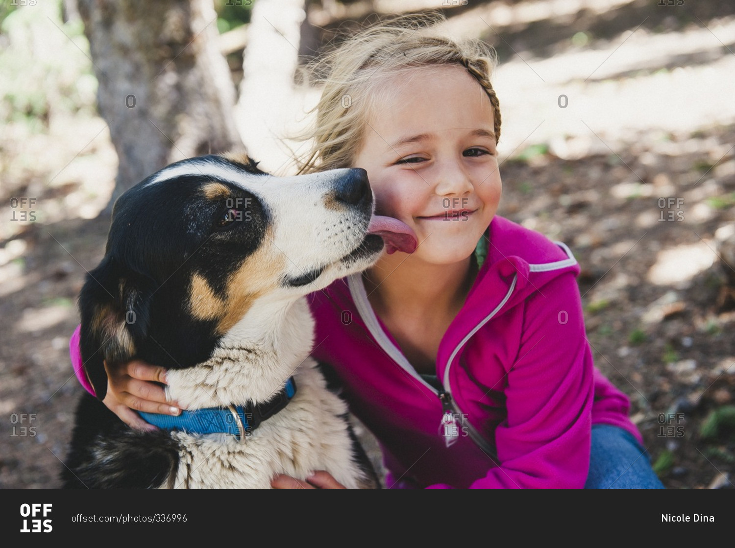 Dog licking little girls cheek stock photo OFFSET
