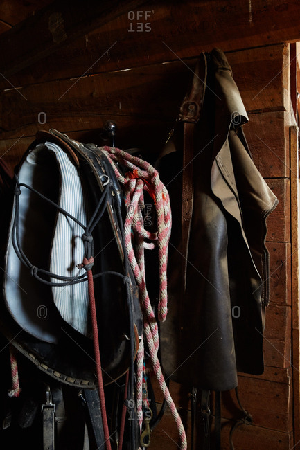 Saddle And Leather Chaps Hanging In Barn Stock Photo Offset