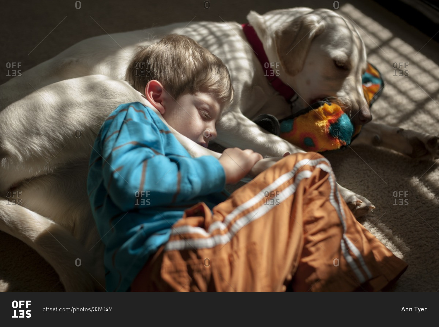 Boy curled up with a dog