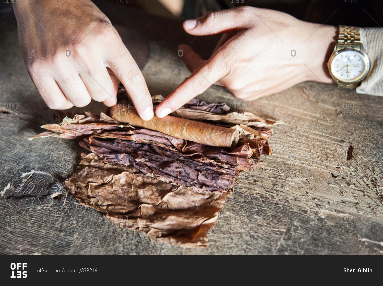 Person hand rolling a cigar