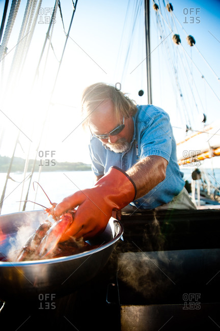 Mystic, CT, USA - July 26, 2010: Man getting a cooked lobster from pot aboard the Mystic Whaler