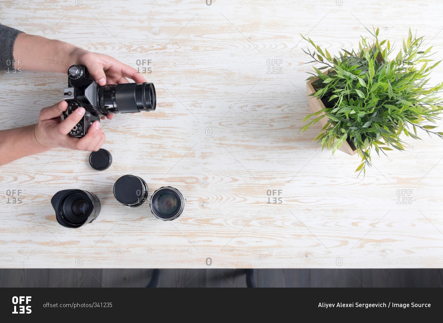 Overhead view of male photographer photographing plant on table