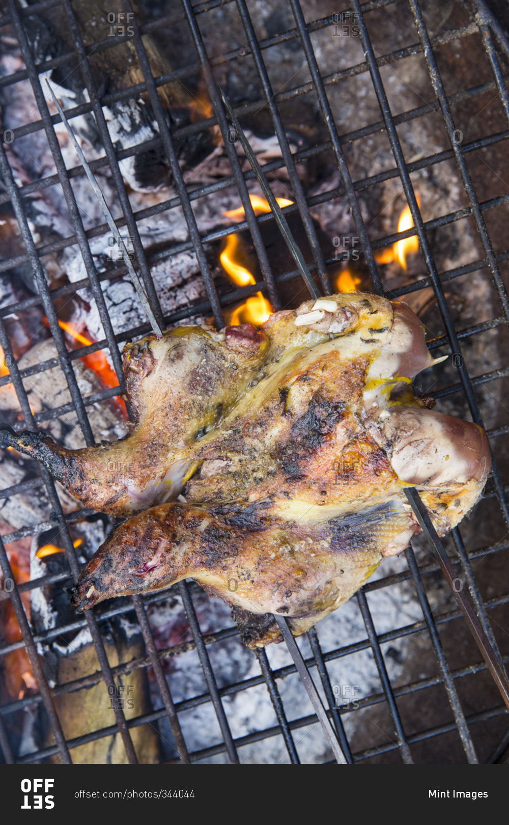 A spatchcocked game bird roasting above glowing coals