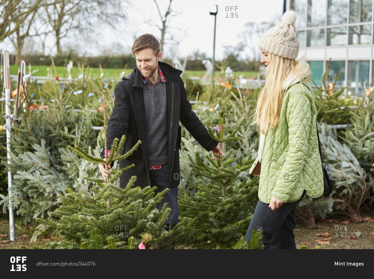 A man and woman choosing a Christmas tree from a large selection at a garden center