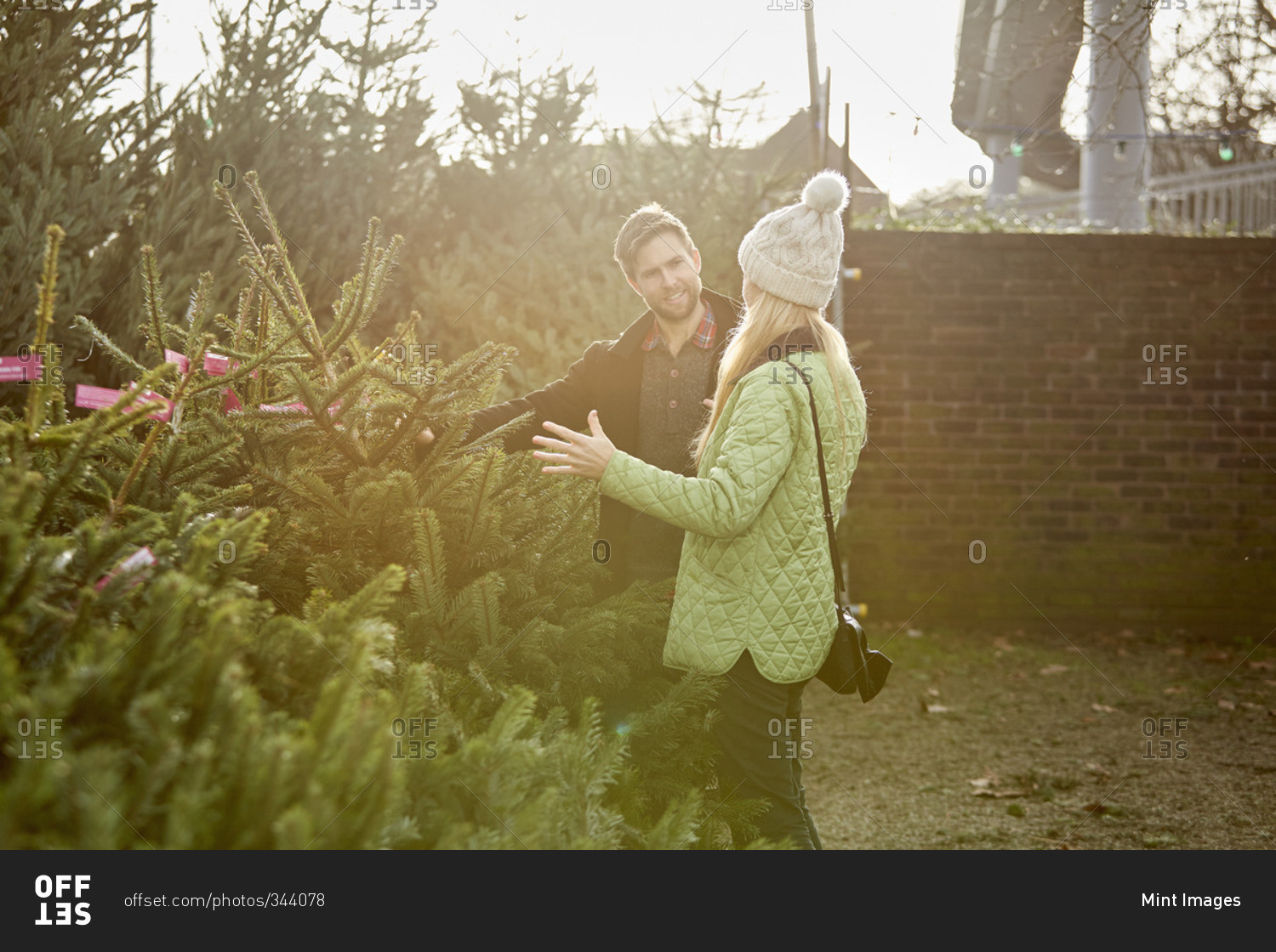 A man and woman selecting a Christmas tree