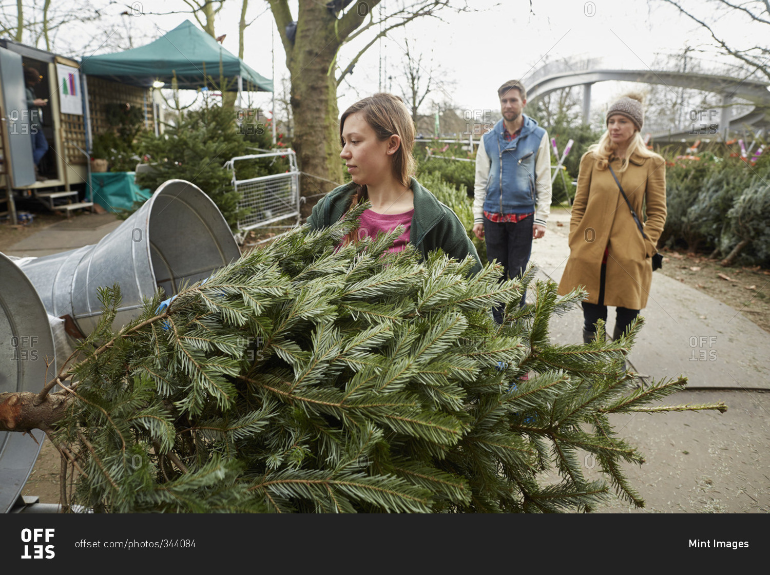 A staff member at a garden center feeding a Christmas tree into the netting machine to wrap it for the client