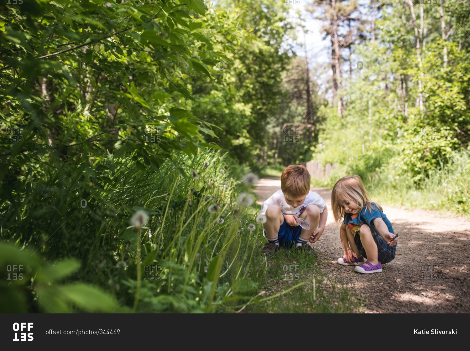 Boy and girl looking for bugs in the grass