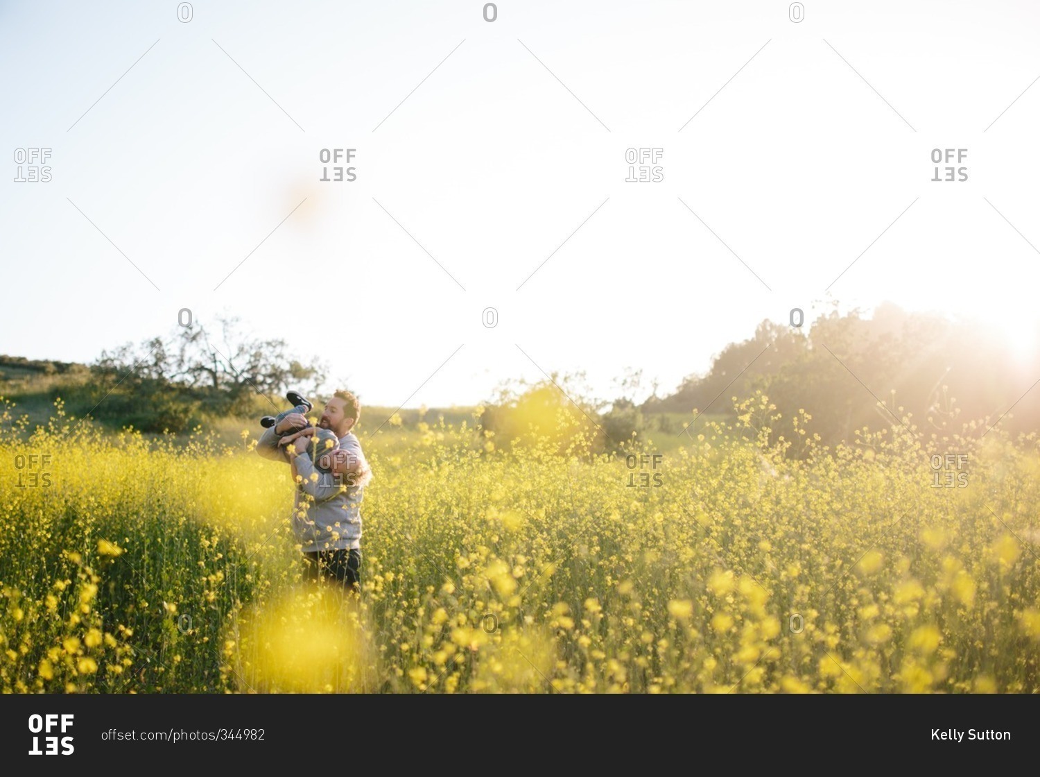 Father playing with young son in sunlight field of yellow flowers
