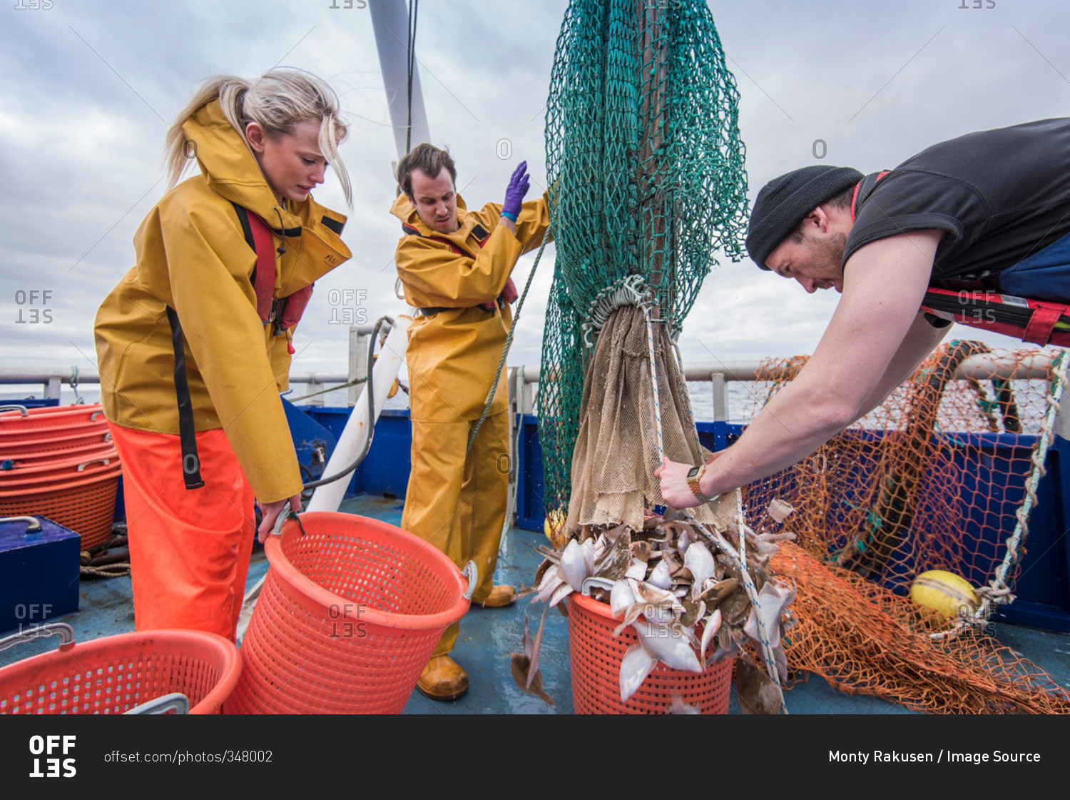 Research scientists and fishermen bring in catch of fish on research ship