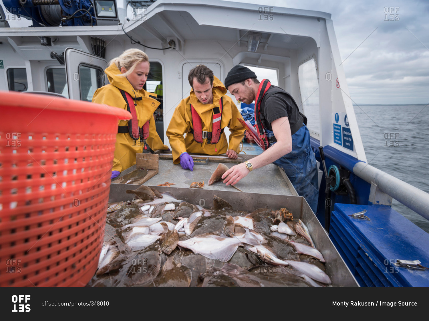 Scientists inspecting catch of fish on research ship
