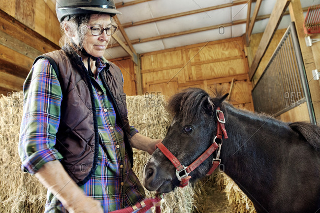 An older woman wearing a riding helmet holds a Miniature Horse in a barn with hay in the background.