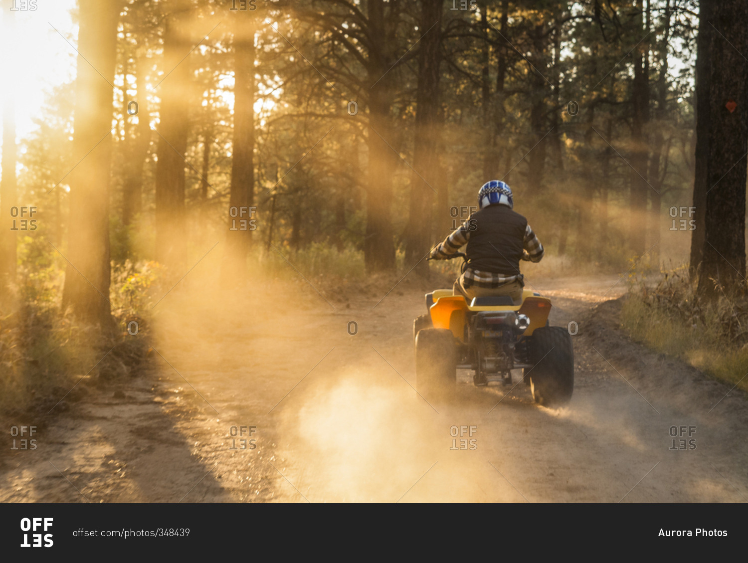 ATV riding in the San Juan National Forest