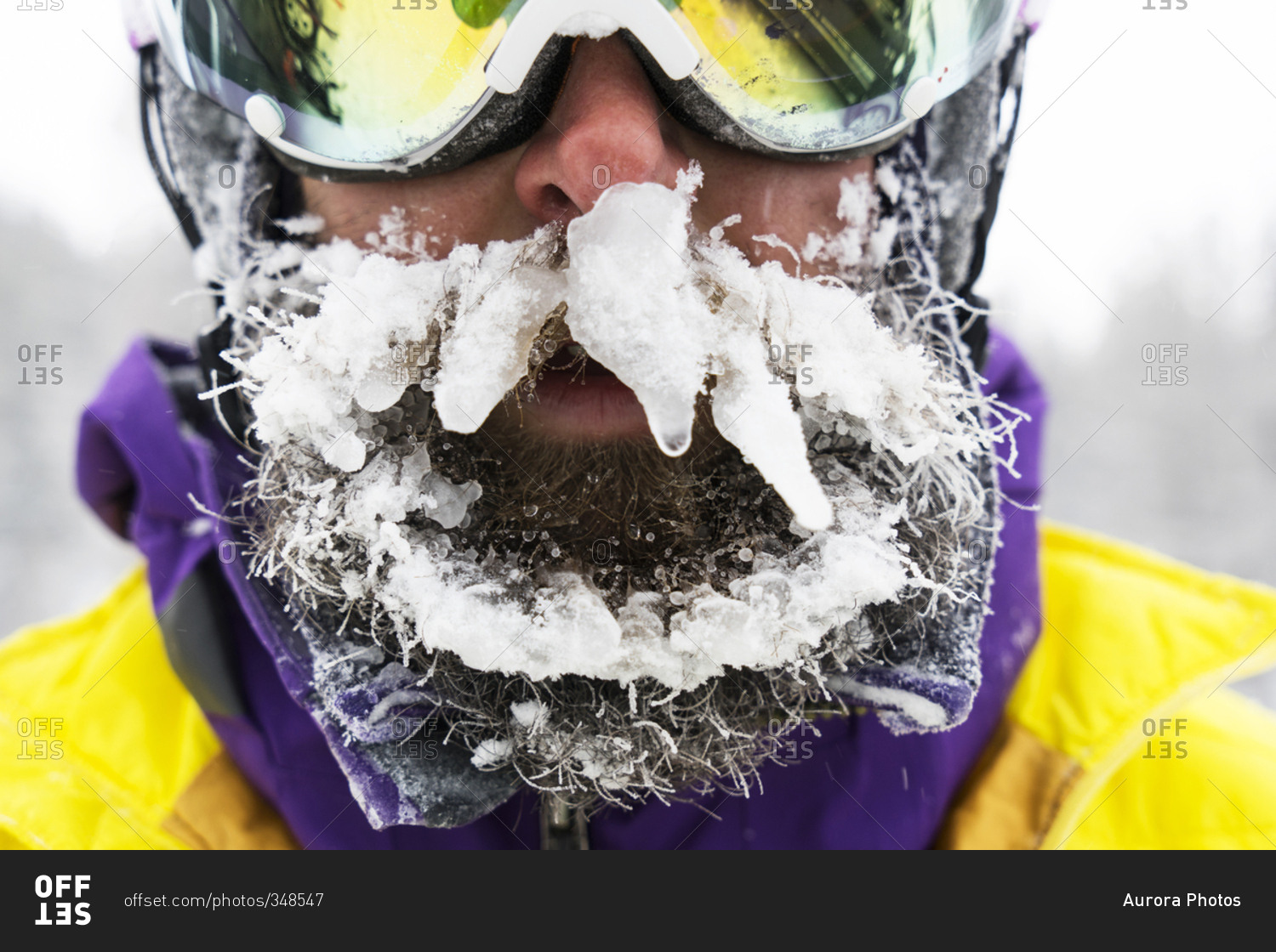 A Young Man Shows Off His Frozen Beard After A Day In The Backcountry Lake Tahoe Nevada Stock 6988