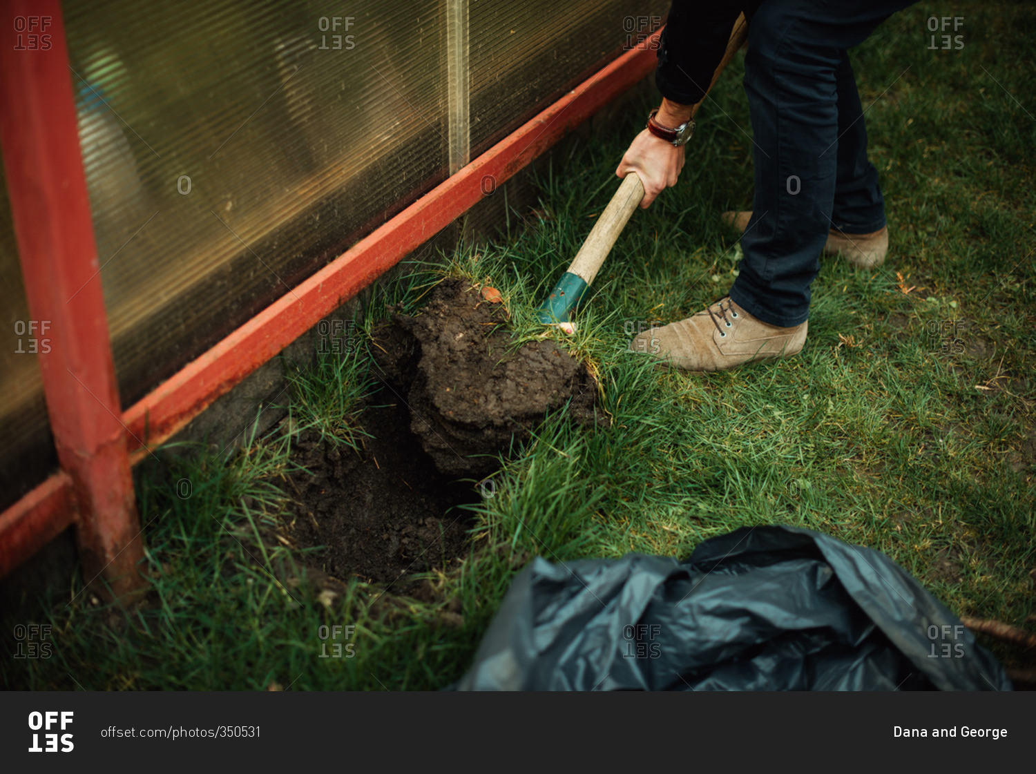 Person digging a hole to plant flower bulbs in the spring