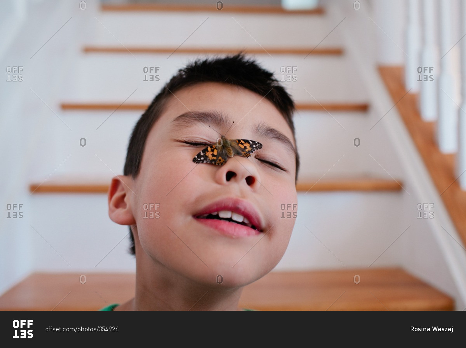 Close-up of a young boy with a butterfly on his face