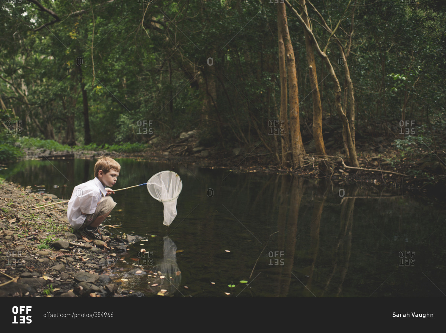 Boy with fishing net squatting at edge of stream