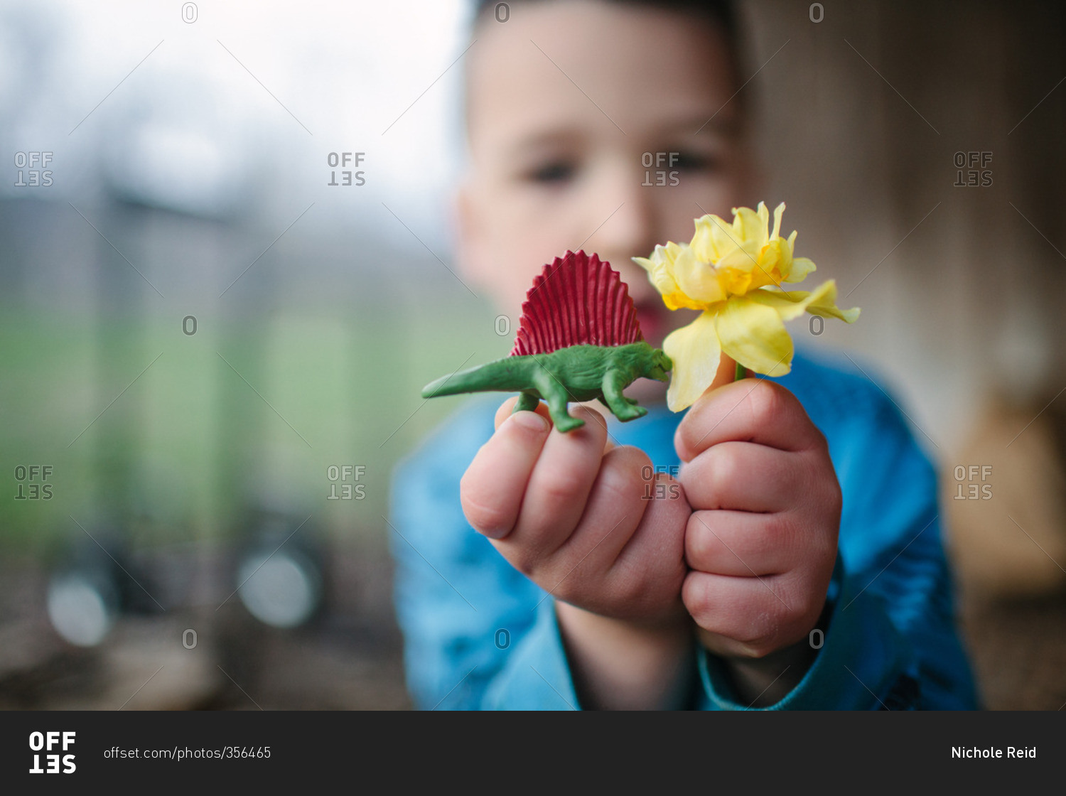Little boy holding yellow flower and toy dinosaur