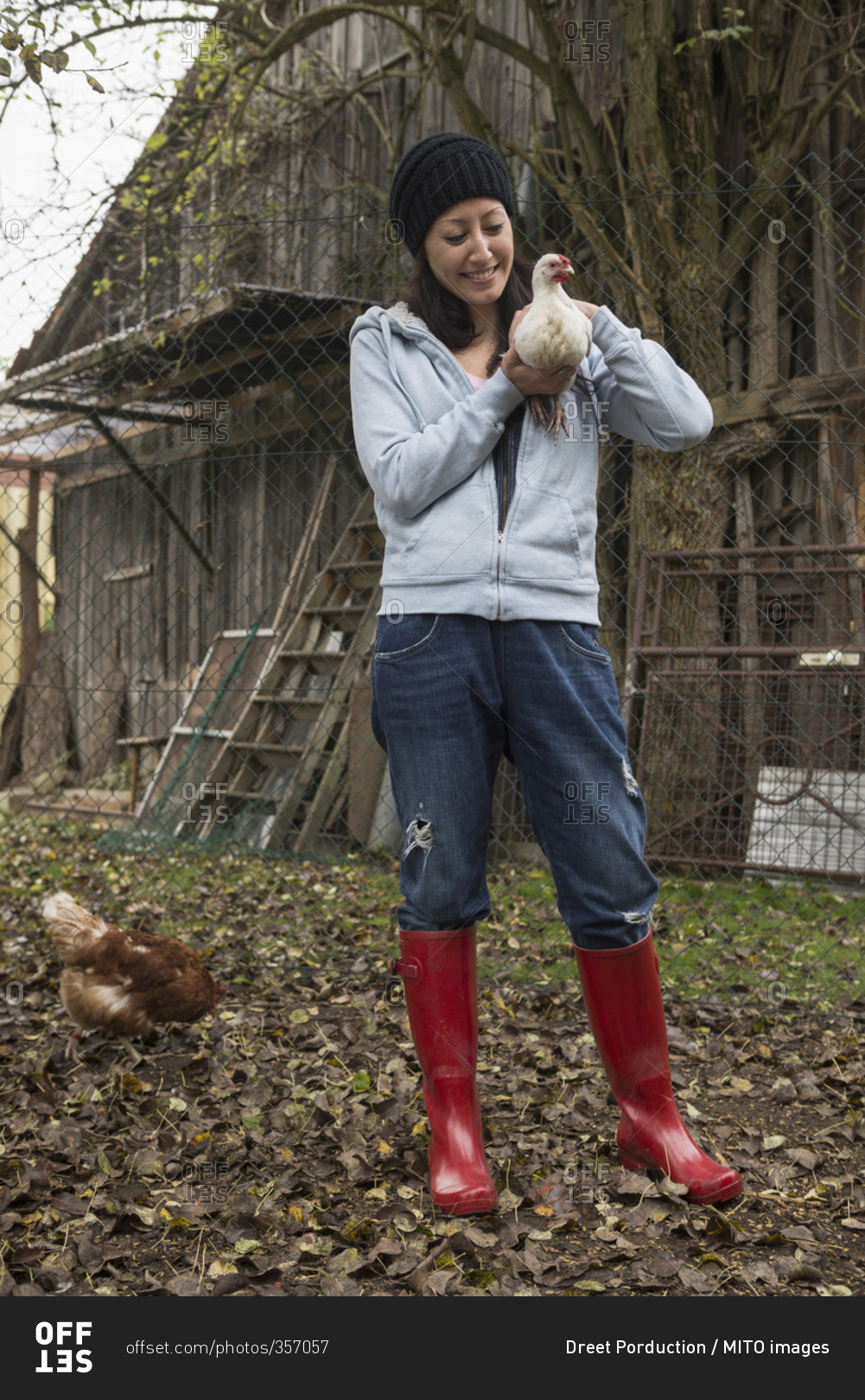 Farmer woman with white chicken bird in farm, Bavaria, Germany