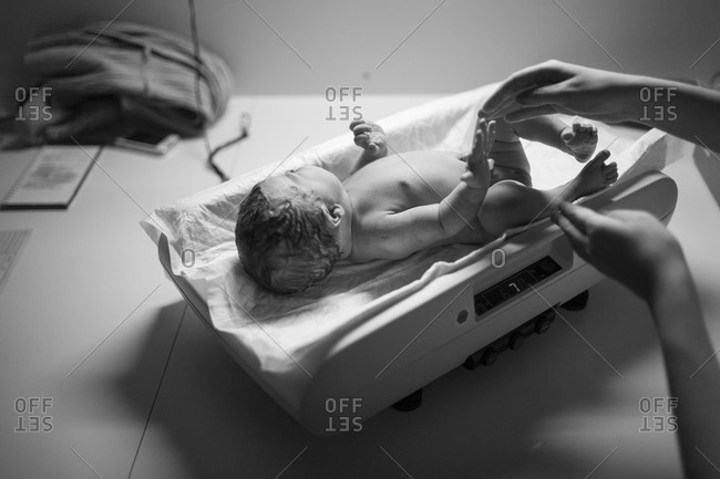 Newborn Baby Girl Being Weighed On Scales Canvas Print