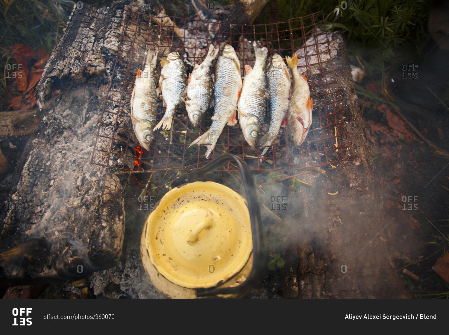 Fish grilling over campfire with dutch oven