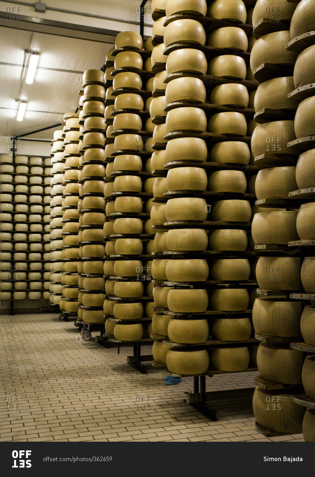 Rows of parmesan wheels aging on wooden shelves