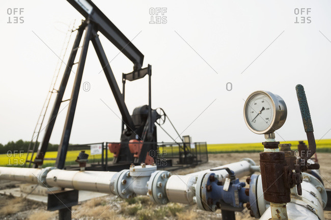 Pumpjack at work on oilfield lease in a canola field in rural Alberta; St. Albert, Alberta, Canada