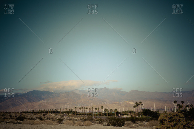Palm trees against a turquoise sky and arid mountains in the background with wind turbines; Palm Springs, California, United States of America