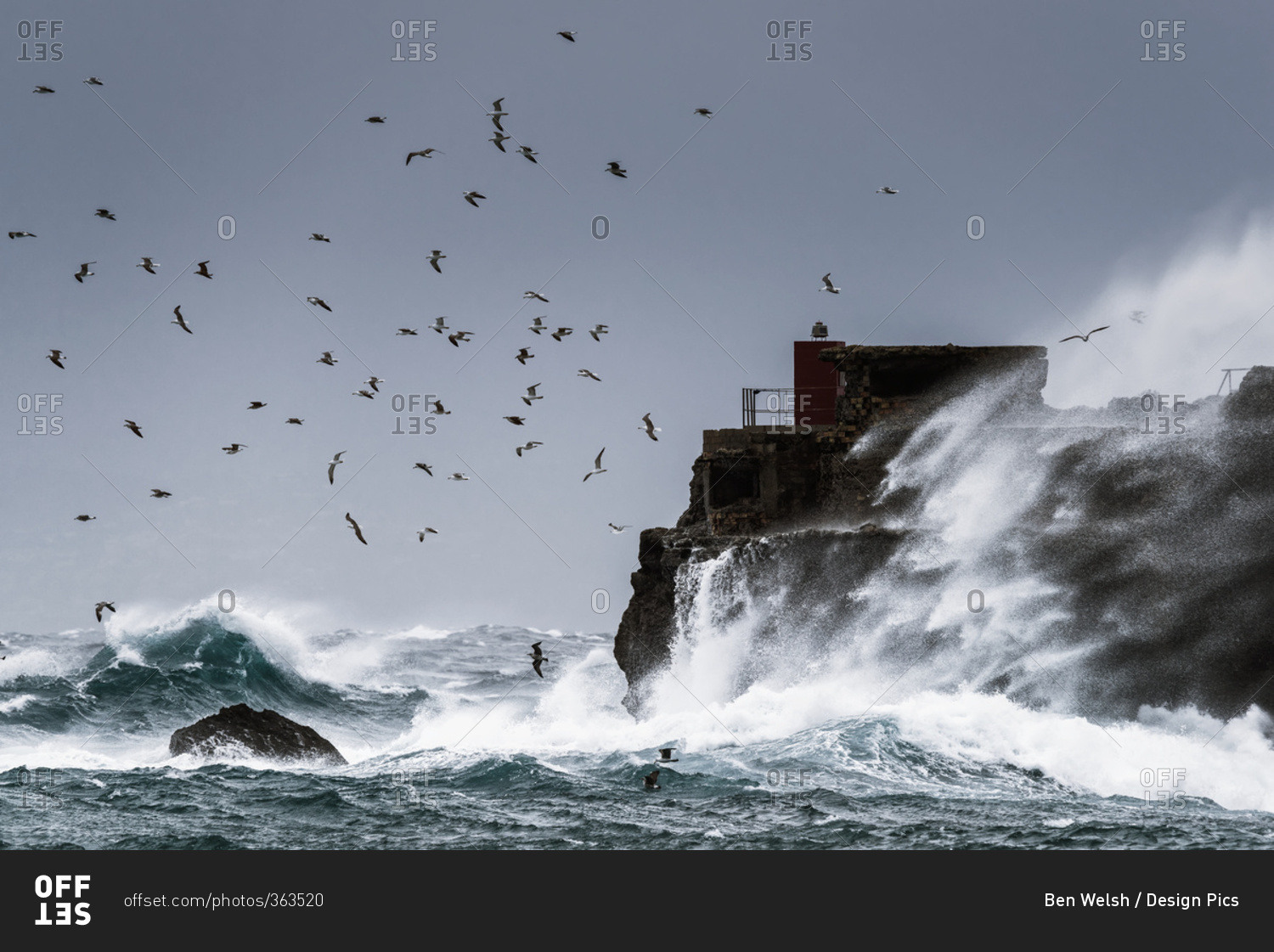 Waves crashing against the rugged rock coastline as birds fly overhead against a blue sky; La Isla, Tarifa, Costa de la Luz, Cadiz, Andalusia, Spain