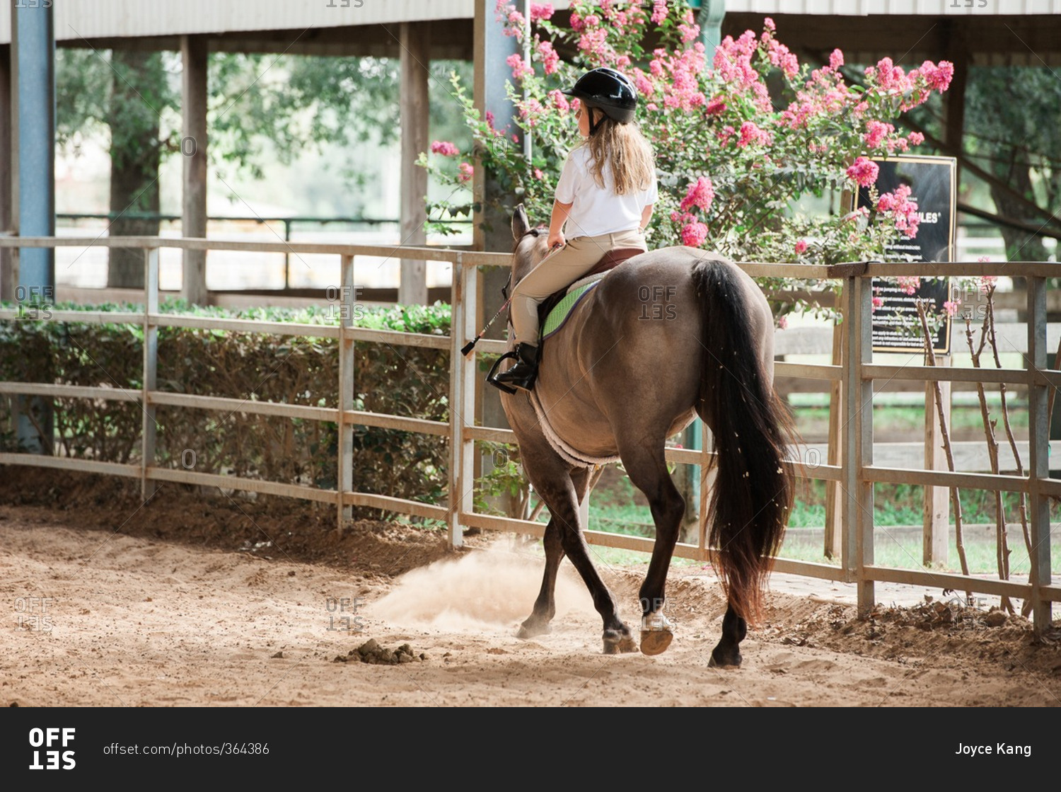 Girl riding her horse into an equestrian arena