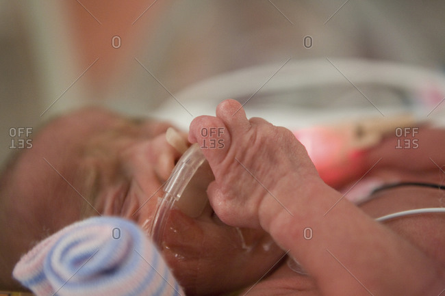 Premature newborn baby touches his oxygen tube