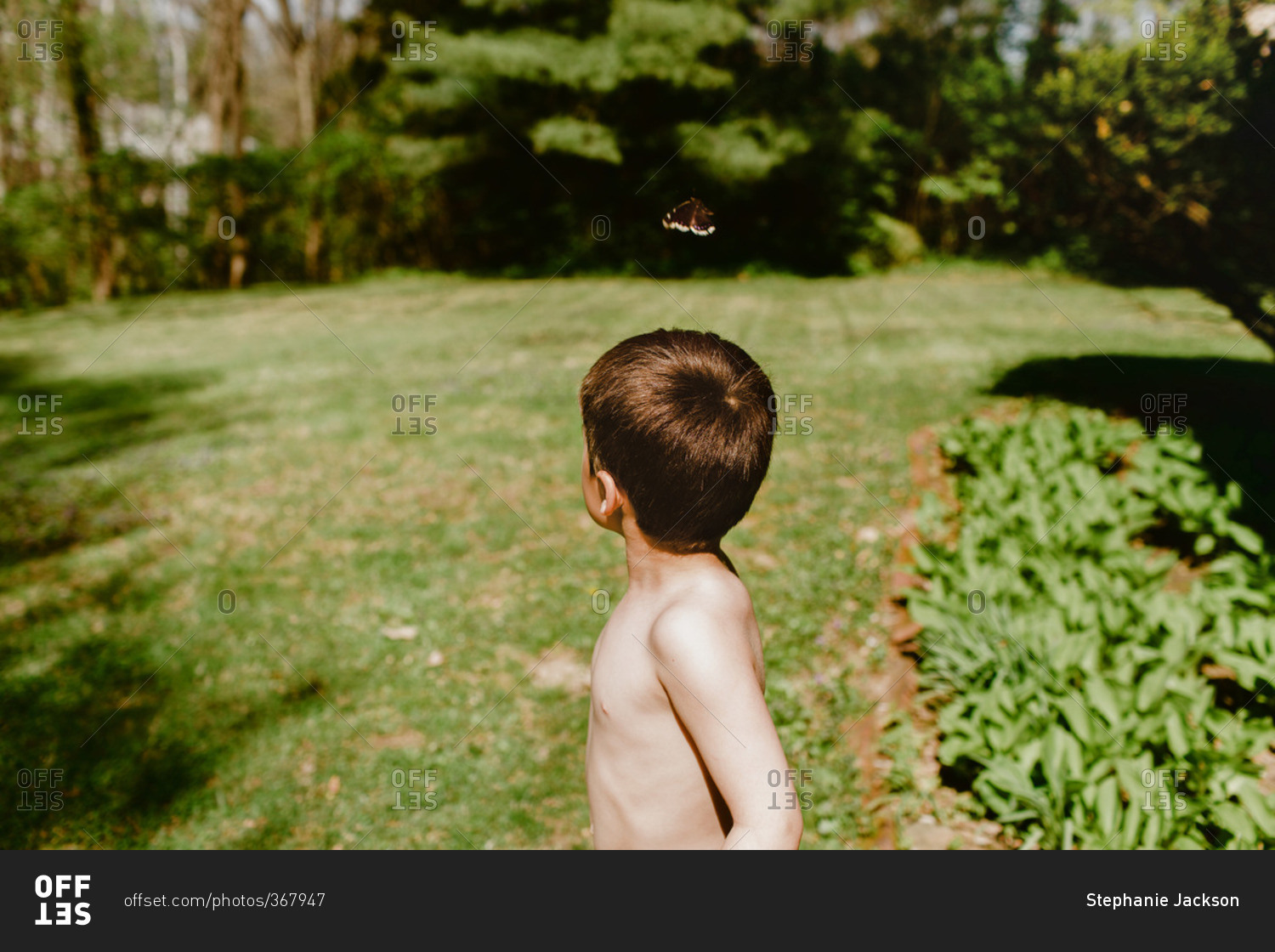 Boy standing outside next to a butterfly stock photo - OFFSET